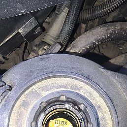 ���� ������, �����������, 44 ���� - ��������� 17 ������� 2026