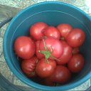 ���� ����, �����, 48 ��� - ��������� 25 ������� 2025 � ������ ������ ��������