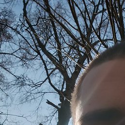 �����, �����-���������, 19 ���