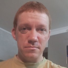 ��������, ������, 37 ���