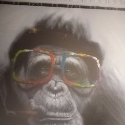 �������, ���������, 44 ����