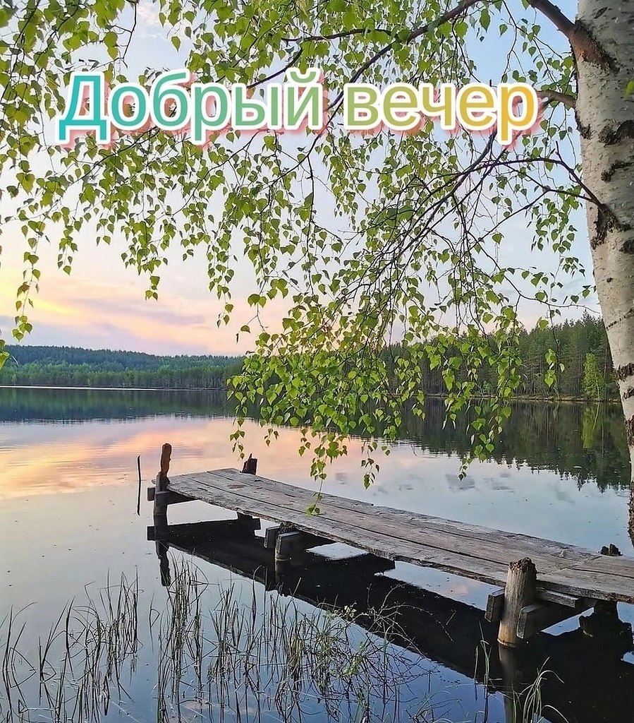   ,    . - 12  2024  17:36