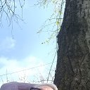  , --, 53  -  22  2025    