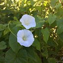 ���� ���, ������, 37 ��� - ��������� 8 ���� 2024 � ������ ������ ��������