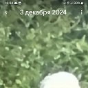 ���� ˸��, ������������, 53 ���� - ��������� 11 ��� 2025 � ������ ���� ����������