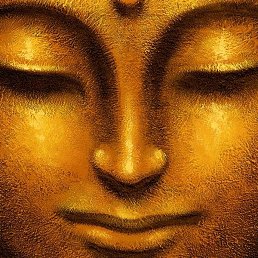 ��������, ������, 54 ����