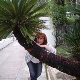 �����, ������, 59 ���