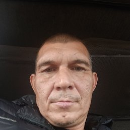 , 44, 