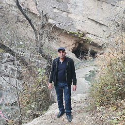 �����, ��������, 46 ���