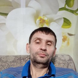 , 41 , 
