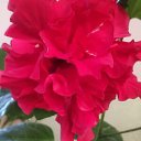 ���� ������, ������������, 51 ��� - ��������� 8 ������� 2024 � ������ ���� ����������