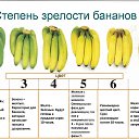 ���� ��������, ����������, 64 ���� - ��������� 7 ���� 2025 � ������ ���� ����������