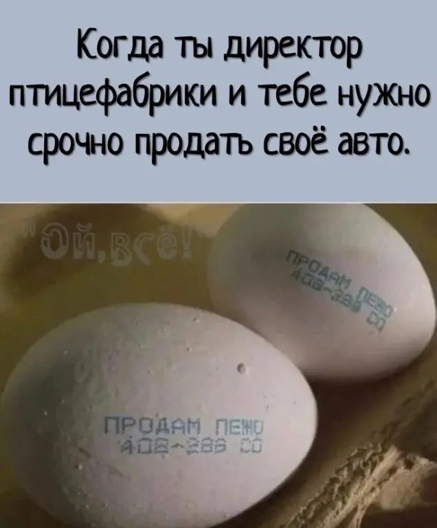  - 18  2024  20:05