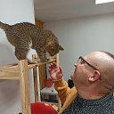 ���� �������, ����, 50 ��� - ��������� 21 ������ 2025 � ������ ������ ��������