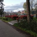 ���� *Galina*, ������, 54 ���� - ��������� 25 ������ 2026 � ������ ���� ����������