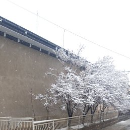 ���� Jasur, �������, 41 ��� - ��������� 20 ����� 2024