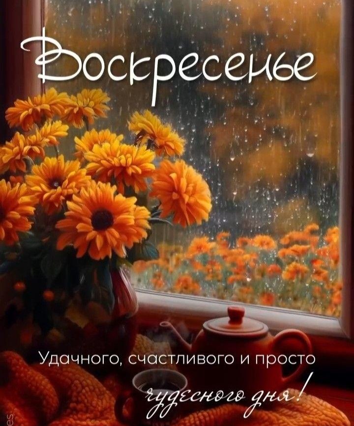   ,    . - 30  2025  08:42