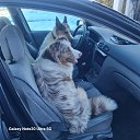 ���� Boris, ����-���� - ��������� 7 ����� 2026 � ������ ������ ��������
