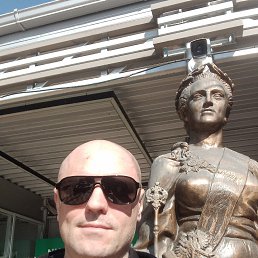 ����, 41 ���, ���������