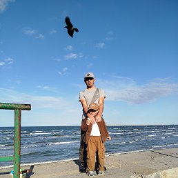 , 31 , 