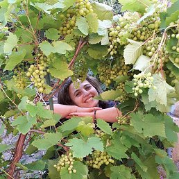 Masha, �����-���������, 42 ����