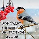 ���� ������, ������, 62 ���� - ��������� 16 ������� 2025 � ������ ������ ��������