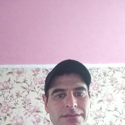 , 41, 