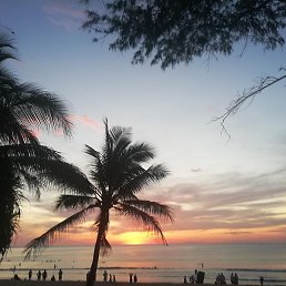 ������, �����������, 52 ����