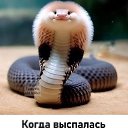 ���� �����, ������, 60 ��� - ��������� 8 ������ 2026 � ������ ���
