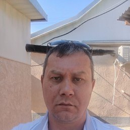  , 41, 