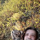 ���� �������, ��������, 44 ���� - ��������� 25 ������� 2025 � ������ ���� ����������