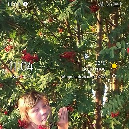 ��� ����������, ������, 53 ����