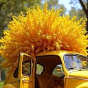 ���� �������, ������ �������� - ��������� 20 ����� 2026 � ������ ������ ��������