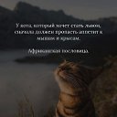 ���� ���, ������������, 49 ��� - ��������� 12 ������� 2025 � ������ ������ ��������