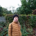 ���� ����, ������, 41 ��� - ��������� 11 ������� 2025