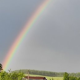 ����, ������, 55 ���