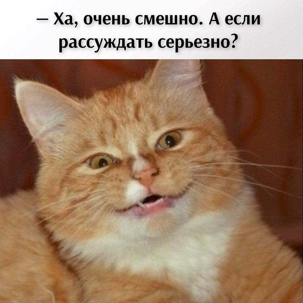 ��� ���� � ����� �� �� - 22 ������ 2026 � 20:42 - 3