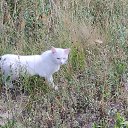 ���� �����, ���������, 50 ��� - ��������� 9 ������� 2025 � ������ �������� �������..�