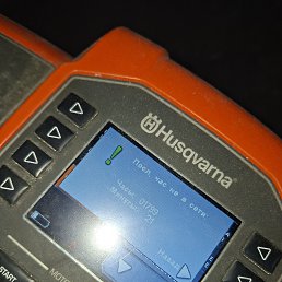 ���� �����, ������, 24 ���� - ��������� 20 ������� 2026