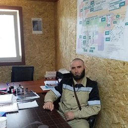 �����, 44 ����, ����