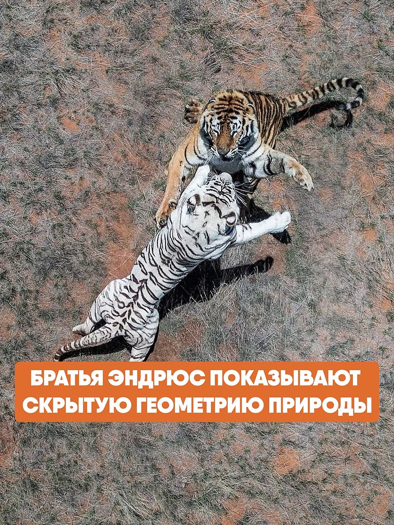 Abstract Aerial Art          ,   ...