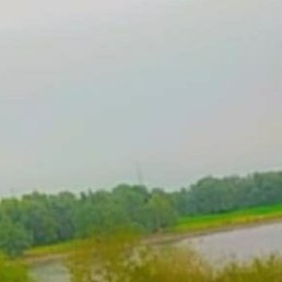 Mert, ������, 22 ����