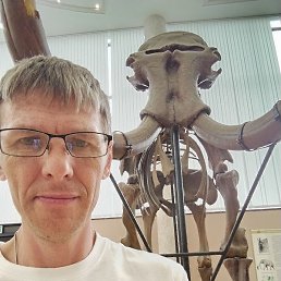 �������, ���������, 44 ����