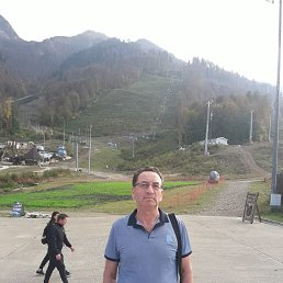 , 61, 