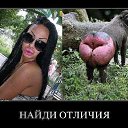 ���� ���, ������ - ��������� 25 ������� 2024