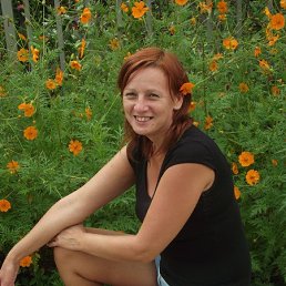 , 58, 