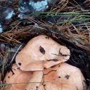 ���� ������, ������ - ��������� 22 ������� 2025