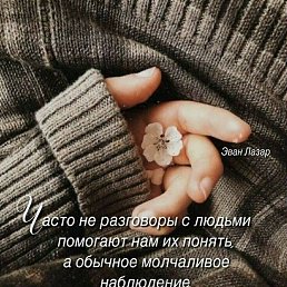 ���� ���, ����������� - ��������� 11 ������ 2026