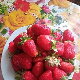 ����, ���������, 44 ����