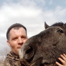, 41, 